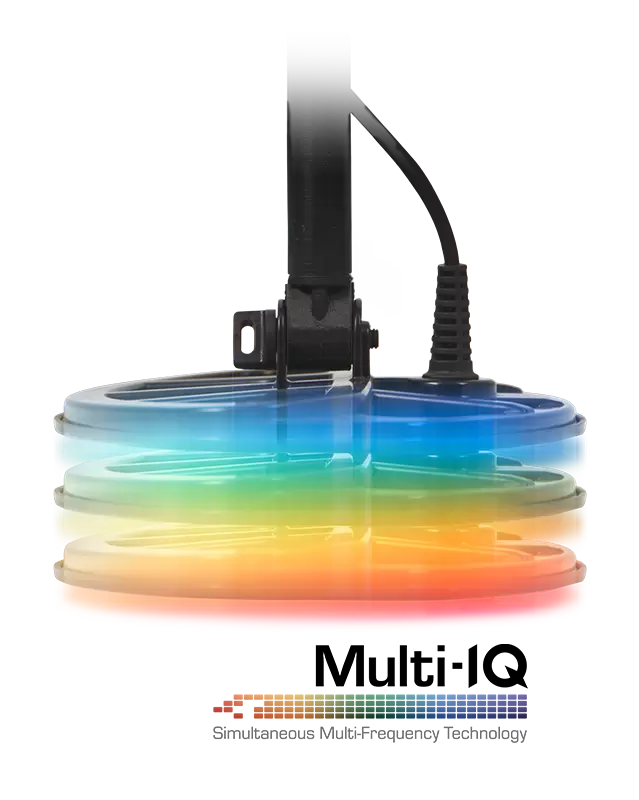 Multi-IQ Technologie